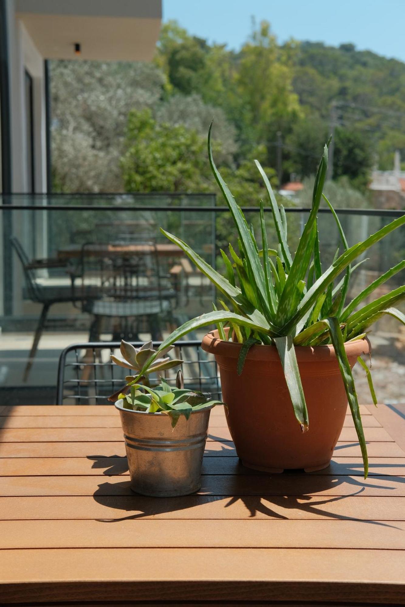 Kaktus Suites คาช ภายนอก รูปภาพ